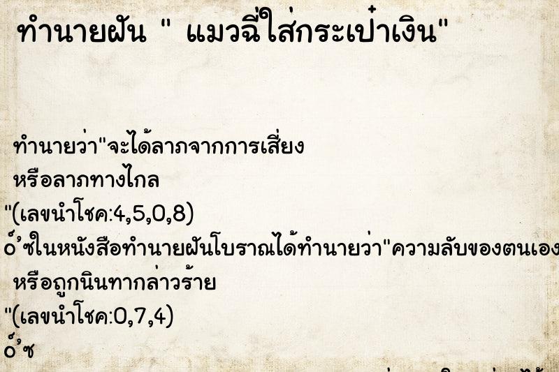 ทำนายฝันแมวฉี่ใส่กระเป๋าเงิน ทำนายฝันทำนายฝันแมวฉี่ใส่กระเป๋าเงิน